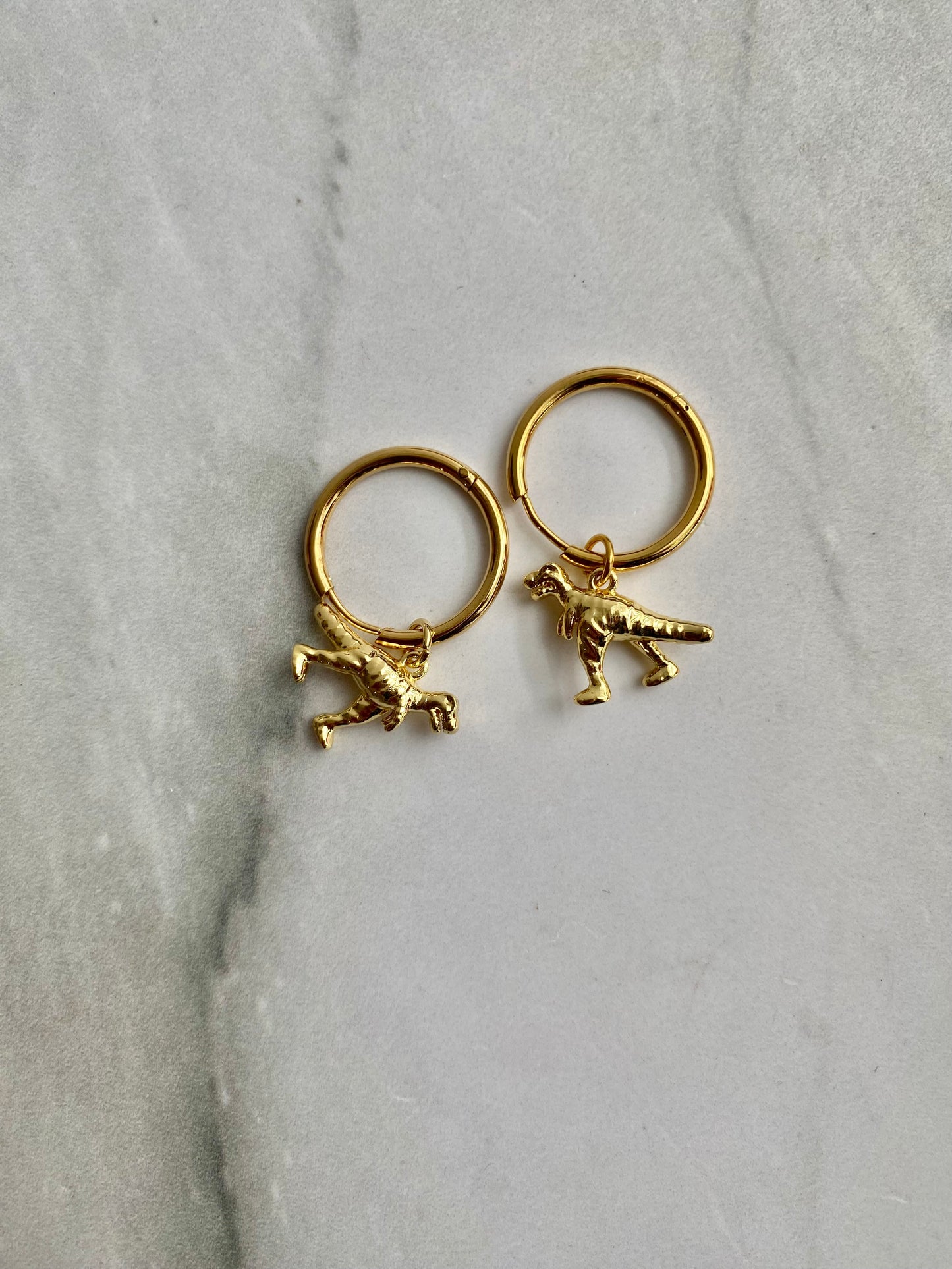 HOOPS DINOSAURIO AC INOX