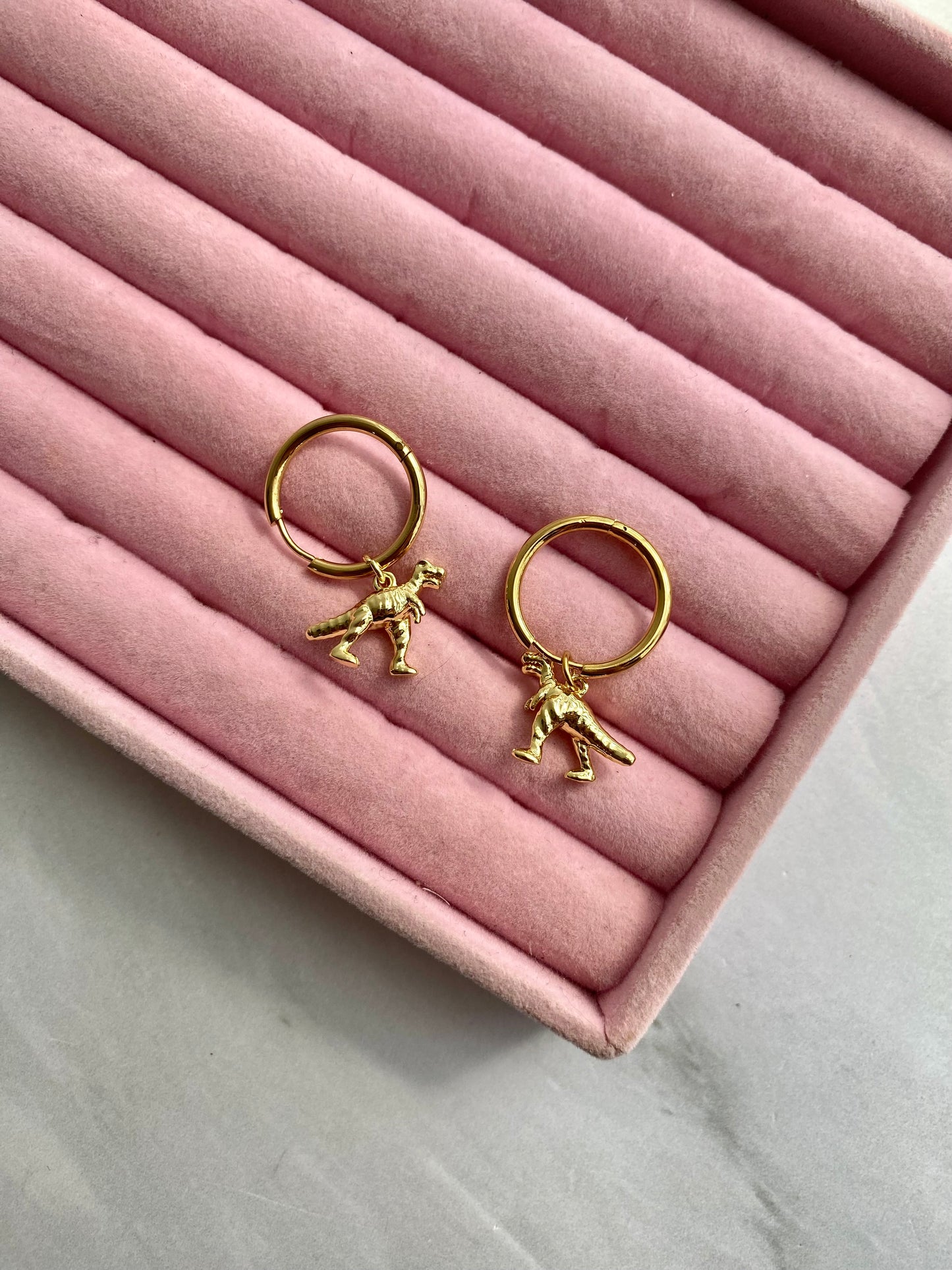 HOOPS DINOSAURIO AC INOX