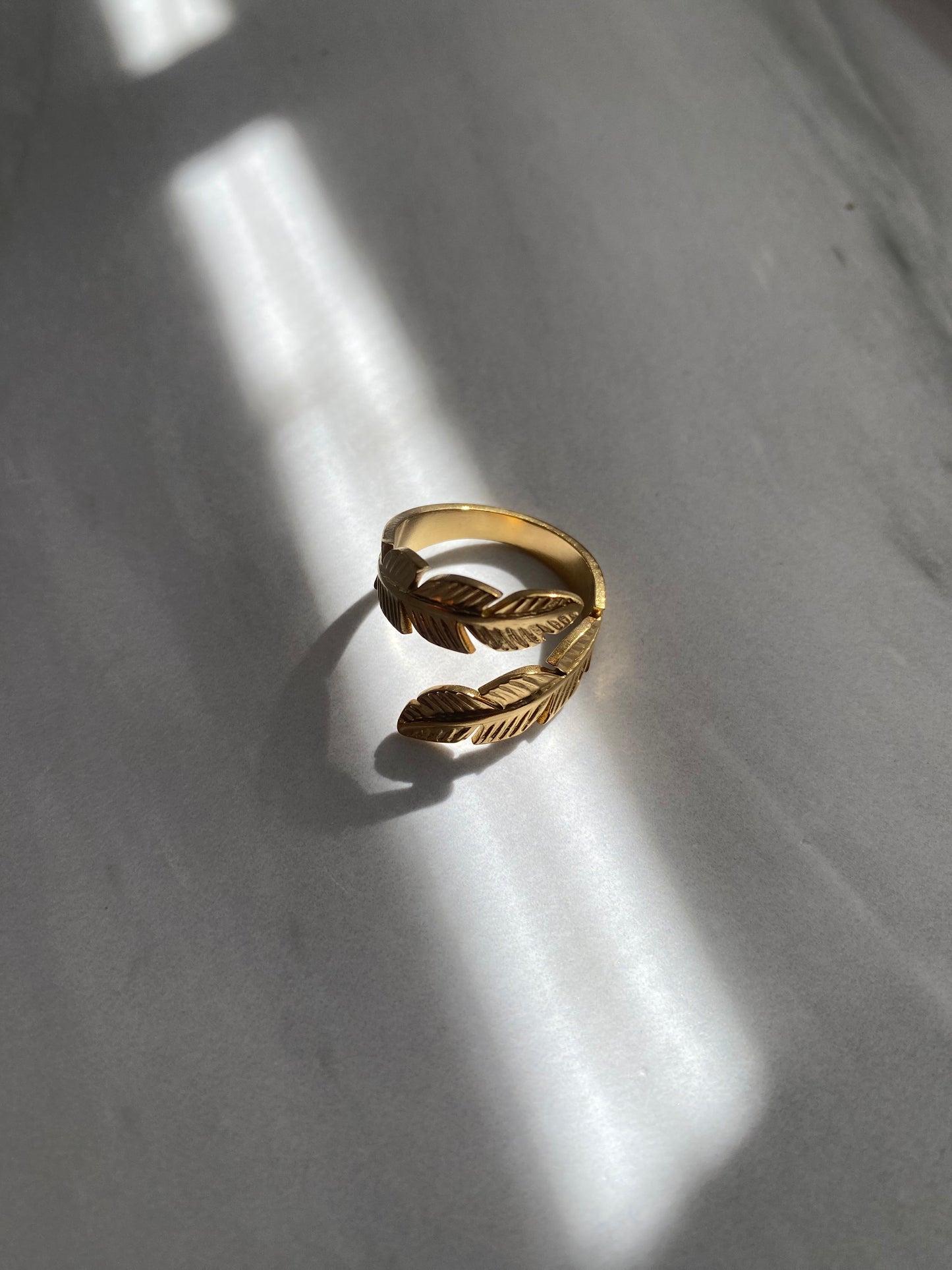 ANILLO PLUMA AC INOX