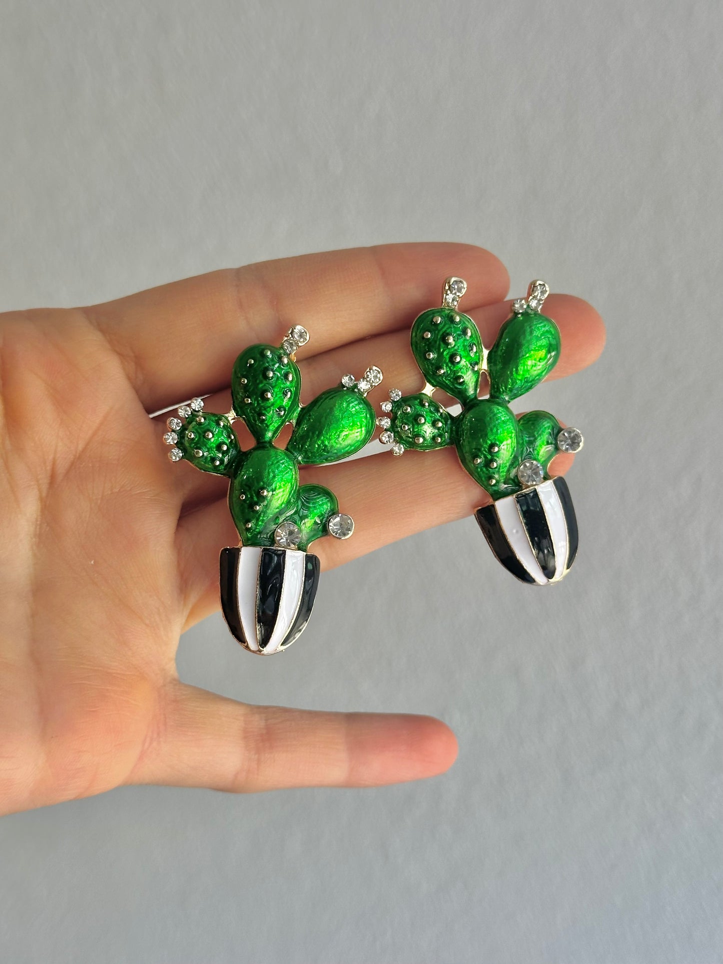 ARETES CACTUS