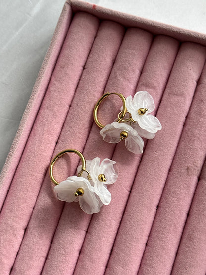 HOOPS FLORES AC INOX