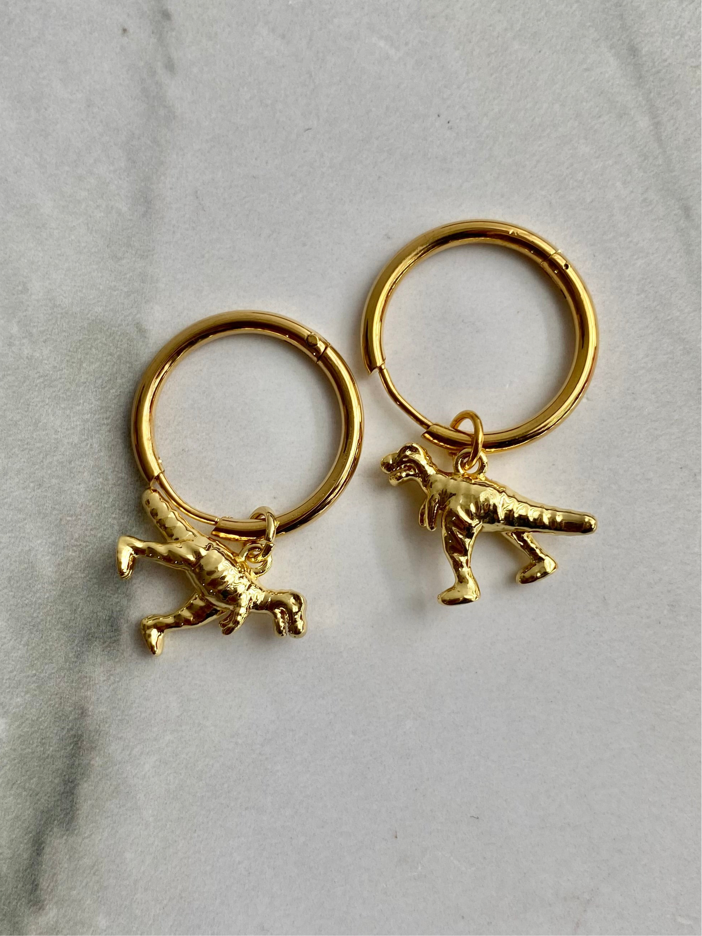 HOOPS DINOSAURIO AC INOX