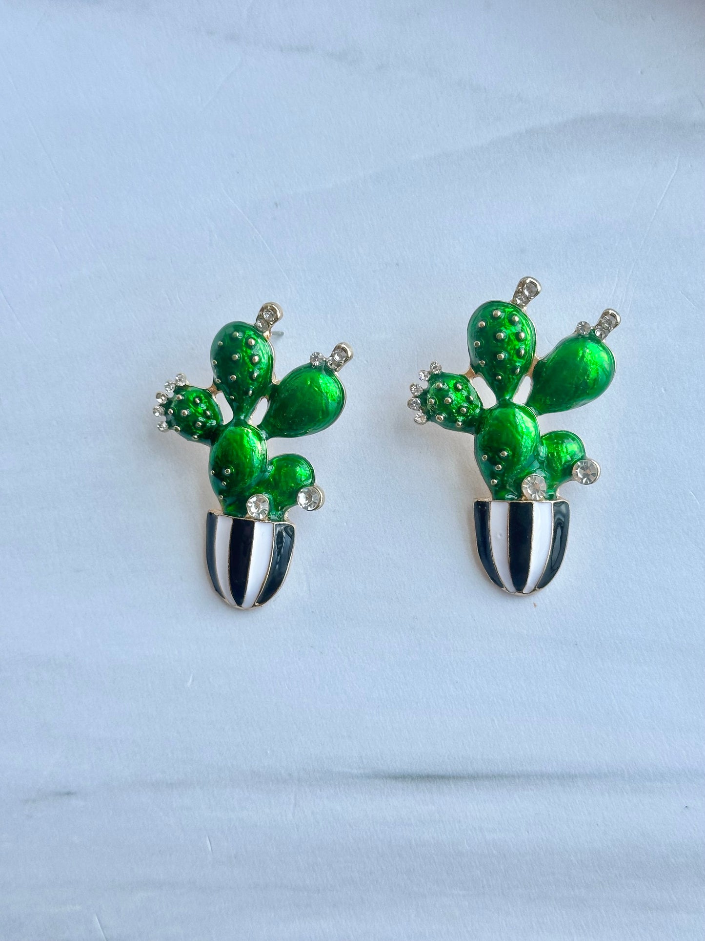 ARETES CACTUS