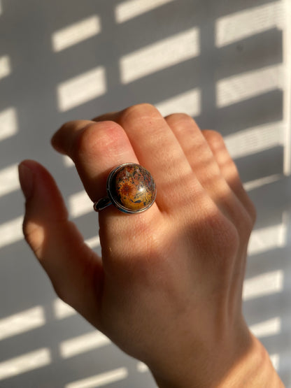 ANILLO LEOPARDO AC INOX