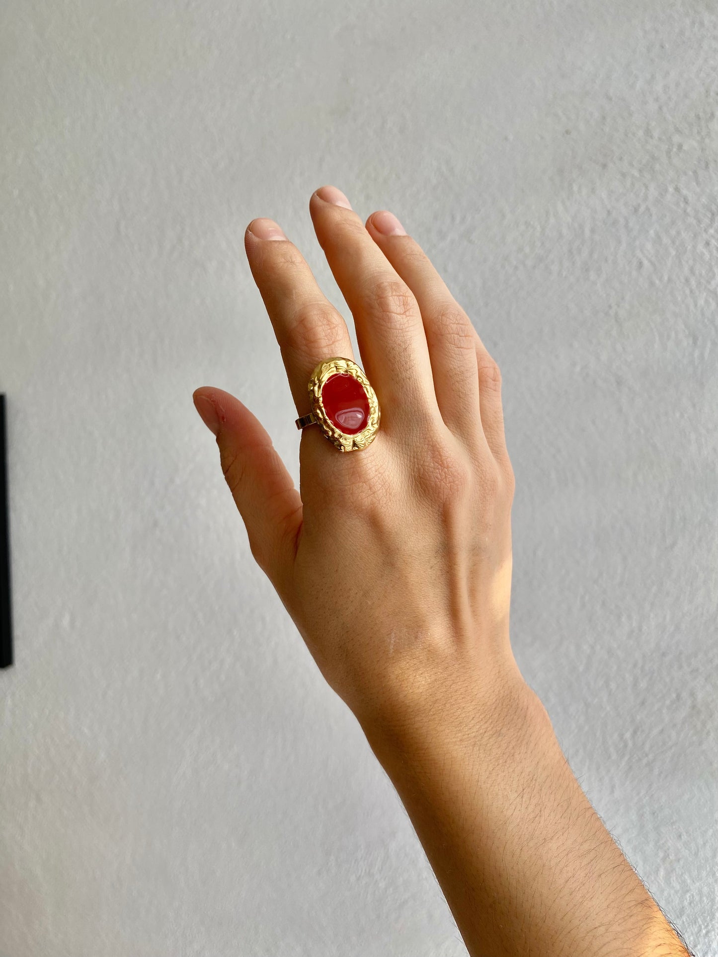 ANILLO ESMALTE AC INOX