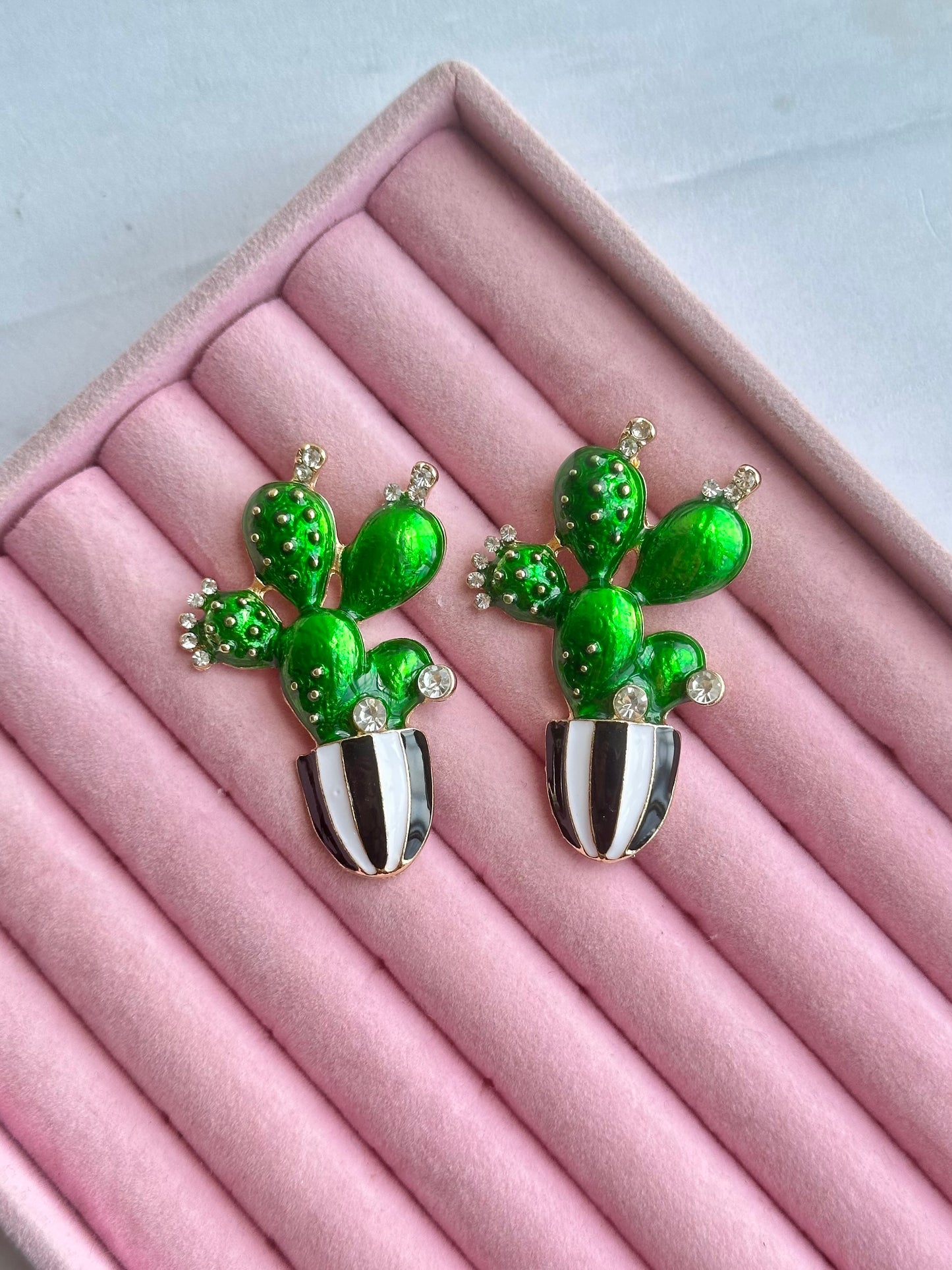 ARETES CACTUS