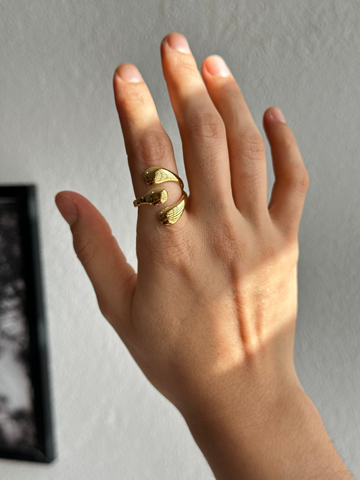 ANILLO AC INOX